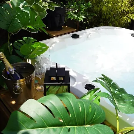 Alsa 15 Avec Jacuzzi Privatif * Fortschwihr