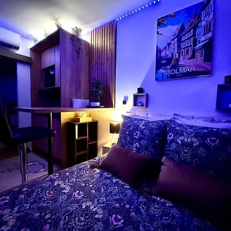 Alsa 15 Avec Jacuzzi Privatif * Fortschwihr