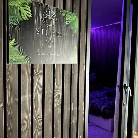 Holiday home Alsa 15 Avec Jacuzzi Privatif Fortschwihr