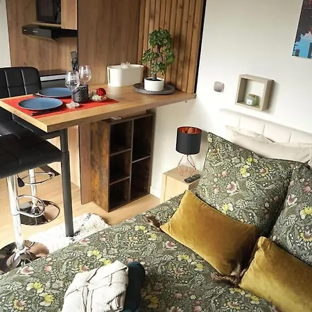 Alsa 15 Avec Jacuzzi Privatif Fortschwihr