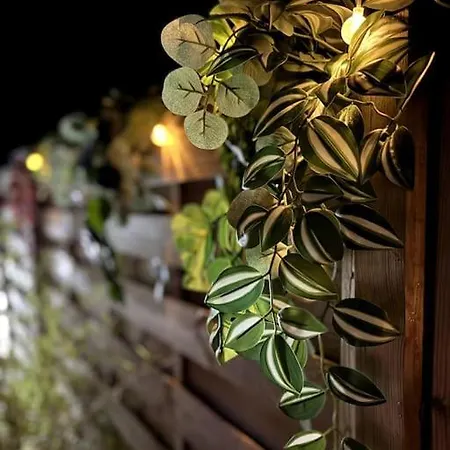 Alsa 15 Avec Jacuzzi Privatif