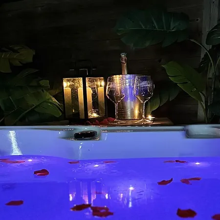 Alsa 15 Avec Jacuzzi Privatif * Fortschwihr