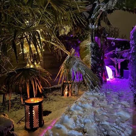 Alsa 15 Avec Jacuzzi Privatif Fortschwihr